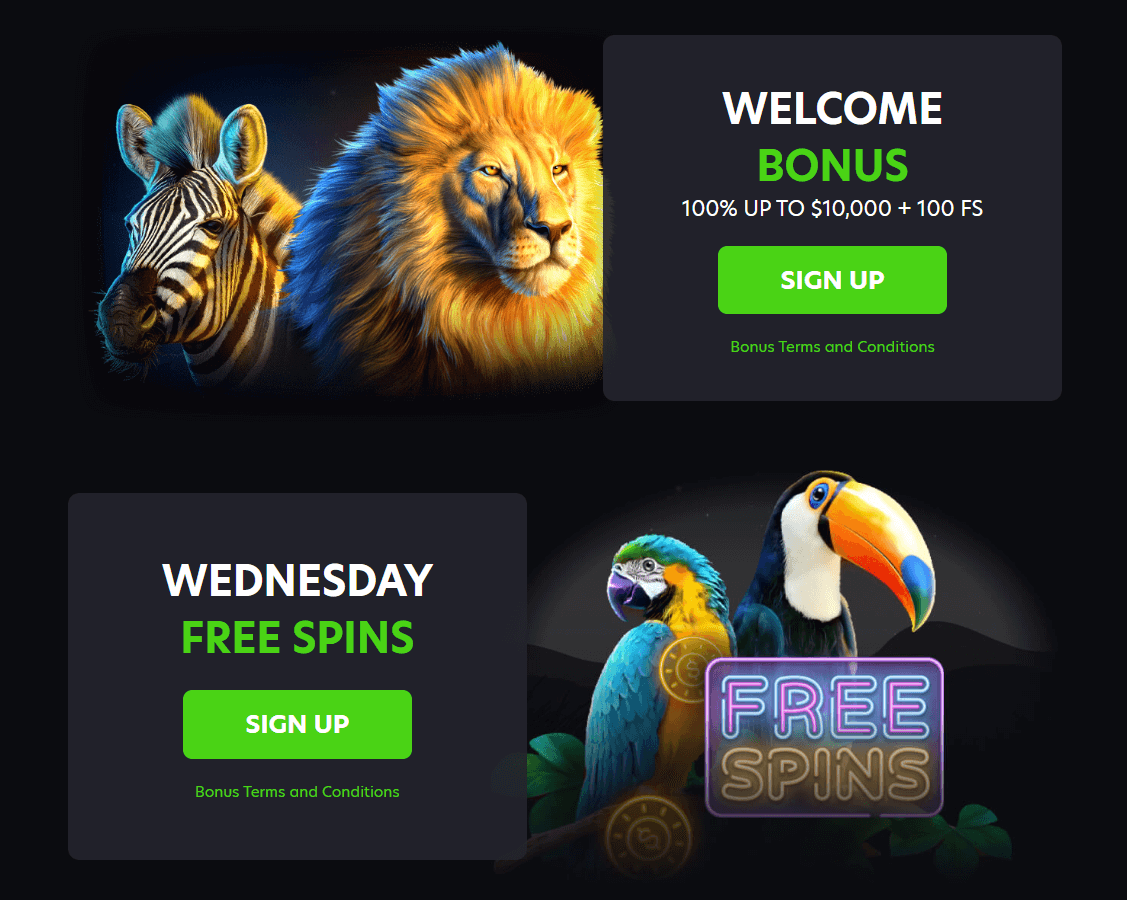 Neospin Casino Bonuses